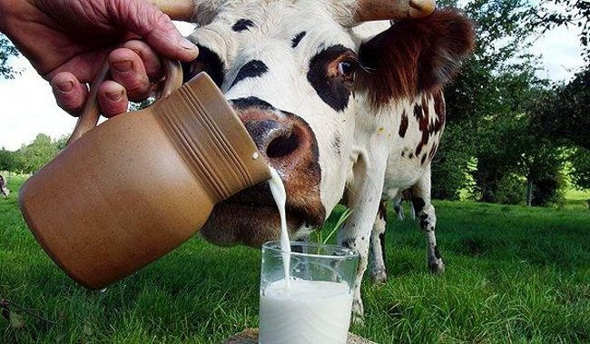 Warum Kinder unter dem Alter von einem sollte nicht gegeben werden Milch