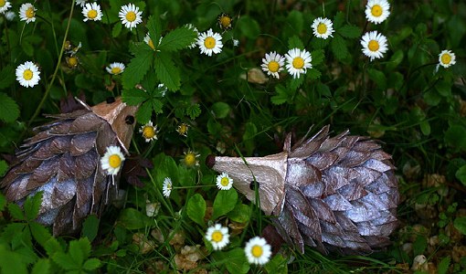 Wie man einen Igel aus Papier macht