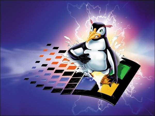 Linux oder Windows