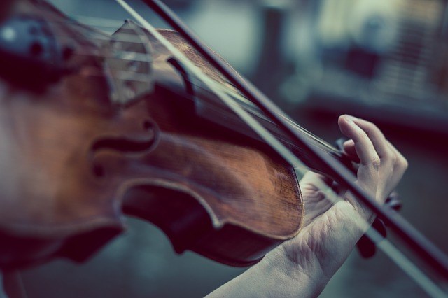 Was macht Musik in den bildenden Künsten