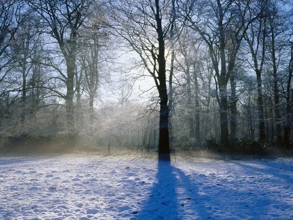 Tipp 1: Wie man das Wetter an den Schildern voraussagt