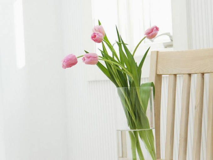 Wie lange hält man geschnittene Tulpen in einer Vase?