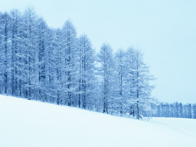 Was ist Schneefall als Naturphänomen