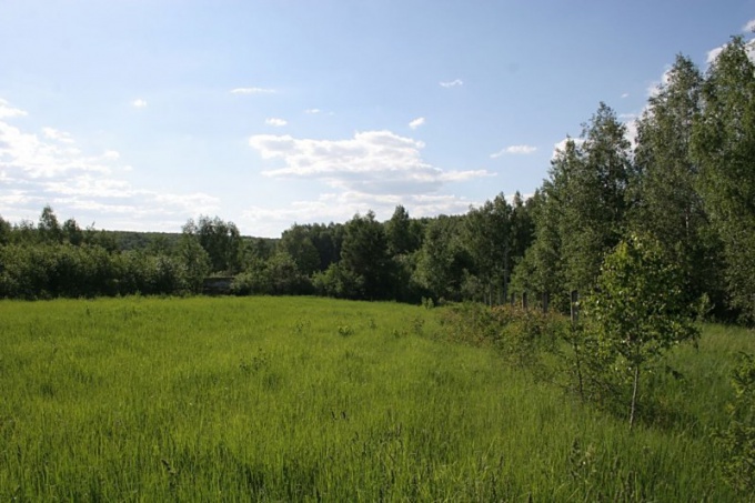 Wie man Land im Dorf beantragen kann