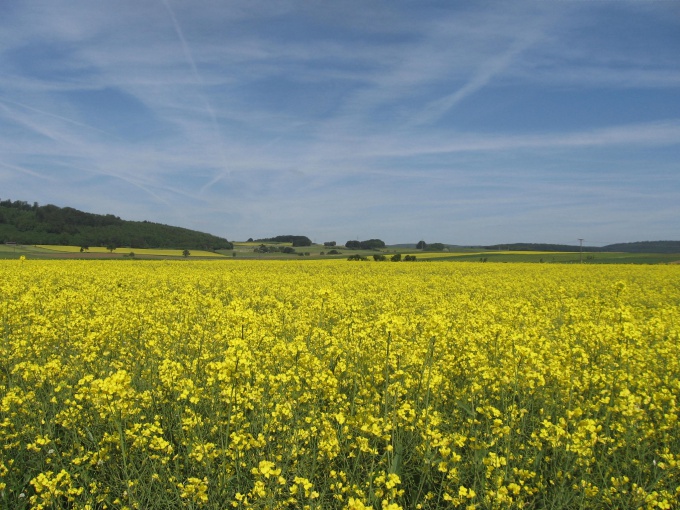 Wie man Land kauft