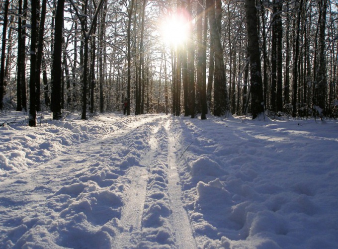 Tipp 1: Anreise nach Solnechnogorsk