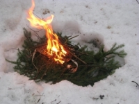 Überleben im <strong> Wald </ strong> <b> im Winter </ b>