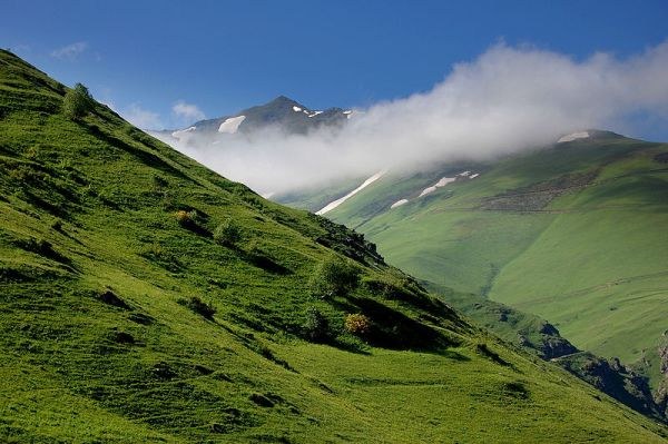 Wie ist das Kadıgra Festival in der Türkei?