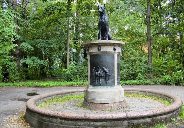 Das Denkmal für den Hund Pavlov in St. Petersburg