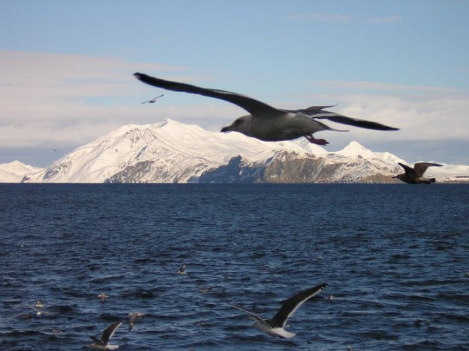 Das tiefste und flachste Meer in Russland