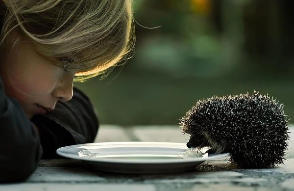 Die Welt wird Schönheit nicht retten, sondern Liebe und Gutes