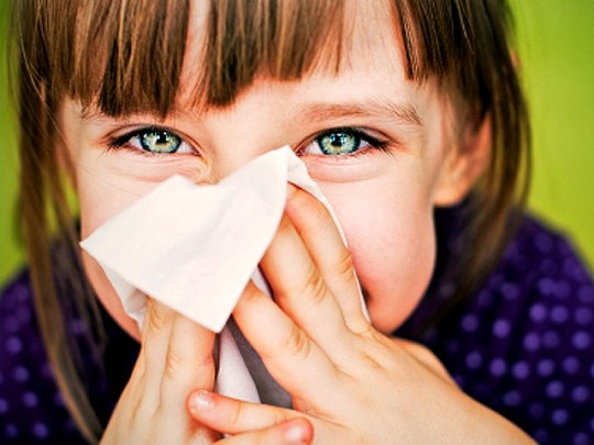 Wie man eine allergische Rhinitis bei einem Kind behandelt