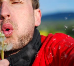 Allergie gegen Pollen von Pflanzen ist eine der häufigsten