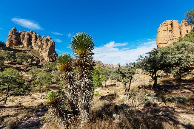 Mexikanische Landschaft