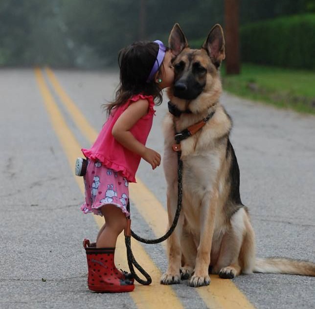 Tipp 1: Welcher Hund ist der Beste